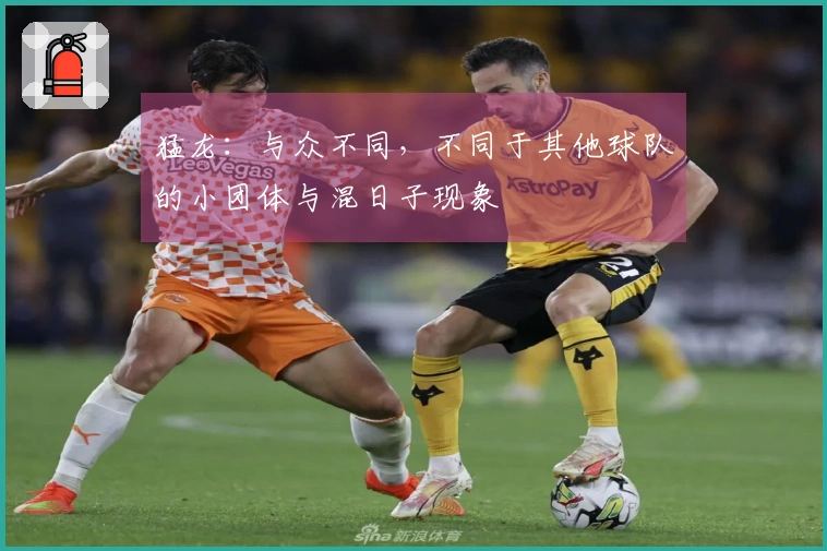 猛龙:与众不同,不同于其他球队的小团体与混日子现象